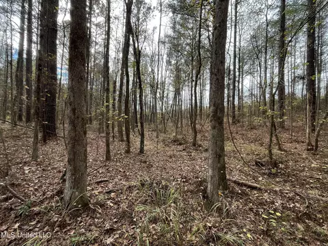672 Mt Pilgrim Rd, Camden, MS 39045 photo 16