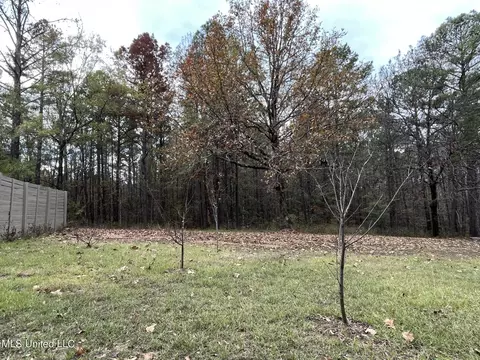672 Mt Pilgrim Rd, Camden, MS 39045 photo 19