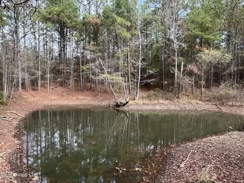 672 Mt Pilgrim Rd, Camden, MS 39045 photo 15