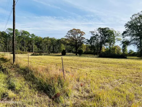 23007 Ira Johnson Rd, Saucier, MS 39574 photo 3
