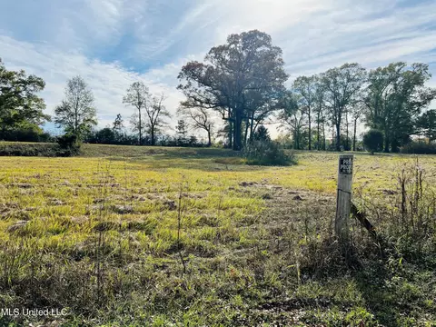 23007 Ira Johnson Rd, Saucier, MS 39574 photo 2