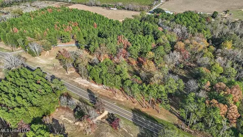 100 Scr 90 Rd, Mize, MS 39116 photo 65