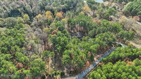 100 Scr 90 Rd, Mize, MS 39116 photo 71