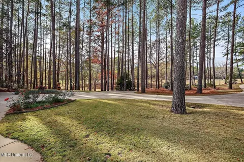 100 Scr 90 Rd, Mize, MS 39116 photo 50