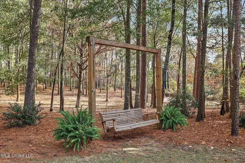 100 Scr 90 Rd, Mize, MS 39116 photo 60