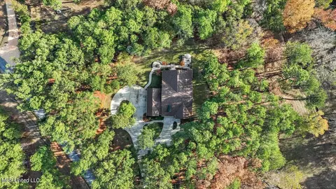 100 Scr 90 Rd, Mize, MS 39116 photo 74