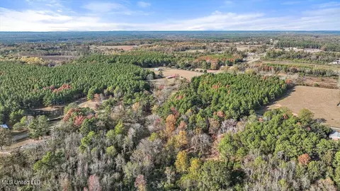 100 Scr 90 Rd, Mize, MS 39116 photo 68