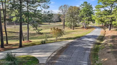 100 Scr 90 Rd, Mize, MS 39116 photo 81