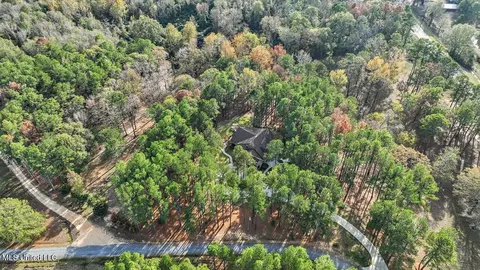 100 Scr 90 Rd, Mize, MS 39116 photo 72