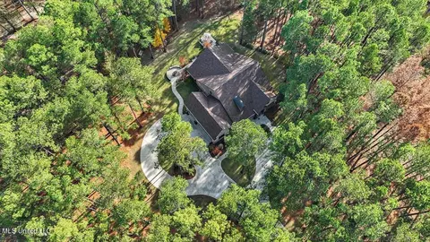 100 Scr 90 Rd, Mize, MS 39116 photo 79