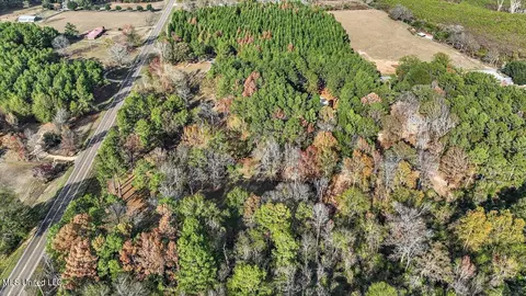 100 Scr 90 Rd, Mize, MS 39116 photo 66