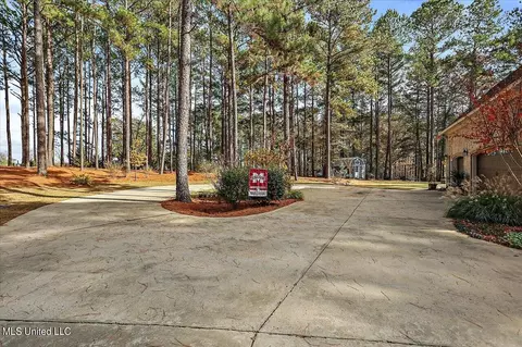100 Scr 90 Rd, Mize, MS 39116 photo 49