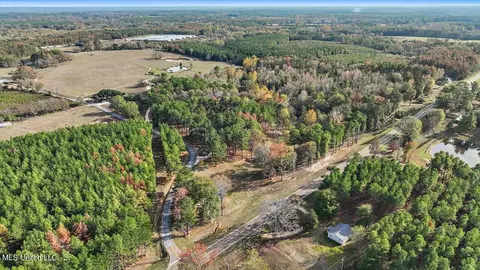 100 Scr 90 Rd, Mize, MS 39116 photo 62