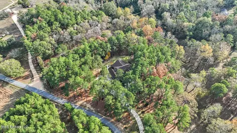 100 Scr 90 Rd, Mize, MS 39116 photo 73