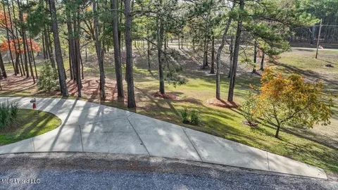 100 Scr 90 Rd, Mize, MS 39116 photo 82