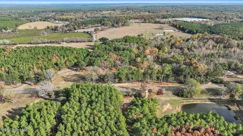 100 Scr 90 Rd, Mize, MS 39116 photo 63