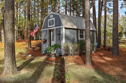 100 Scr 90 Rd, Mize, MS 39116 photo 61