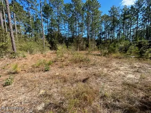 Saucier Lizana Road, Saucier, MS 39574