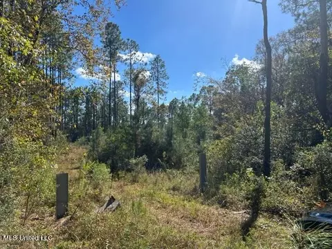 Saucier Lizana Road, Saucier, MS 39574 photo 3