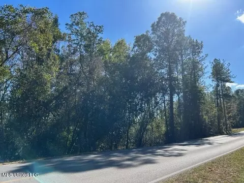 Saucier Lizana Road, Saucier, MS 39574 photo 12