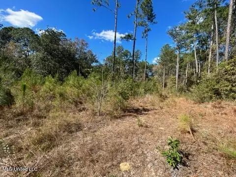 Saucier Lizana Road, Saucier, MS 39574 photo 11