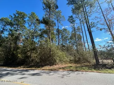 Saucier Lizana Road, Saucier, MS 39574 photo 10