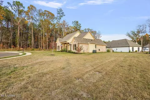 252 Terrapin Creek Rd, Brandon, MS 39042 photo 43