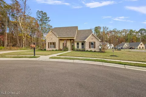 252 Terrapin Creek Rd, Brandon, MS 39042 photo 44