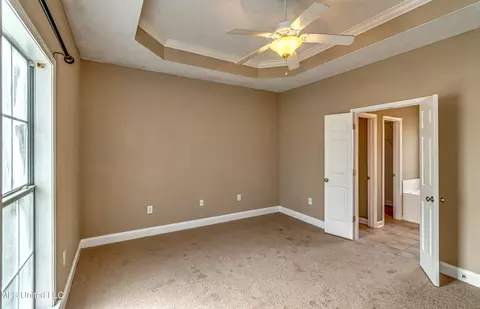 327 Cherry Bark Dr, Brandon, MS 39047 photo 23