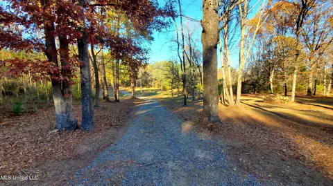 19280 Highway 4 E, Senatobia, MS 38668 photo 8