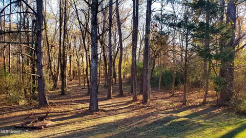 19280 Highway 4 E, Senatobia, MS 38668 photo 6