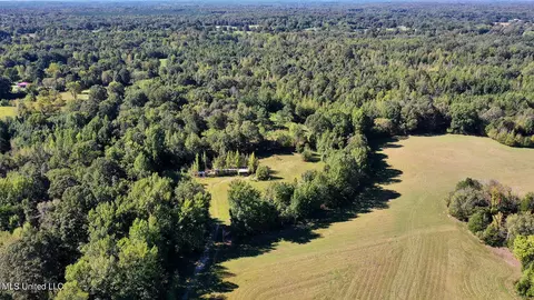 847 Mays Rd, Coldwater, MS 38618 photo 2
