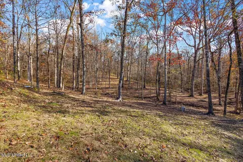7532 Midway Rd, Raymond, MS 39154 photo 22