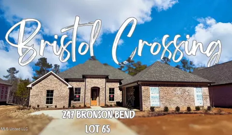 247 Bronson Bnd, Flowood, MS 39232 photo 1