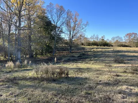 County Road 8, Stringer, MS 39481 photo 4
