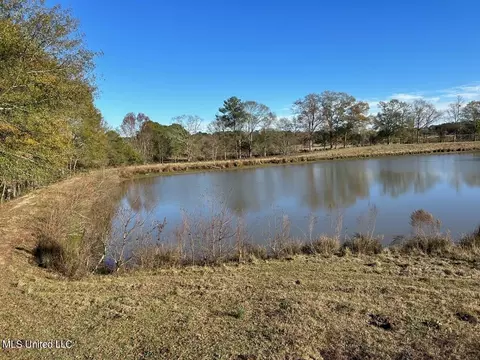 County Road 8, Stringer, MS 39481 photo 12