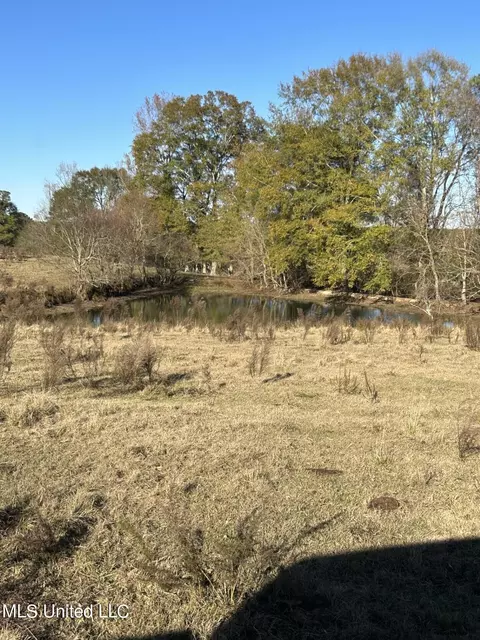 County Road 8, Stringer, MS 39481 photo 7