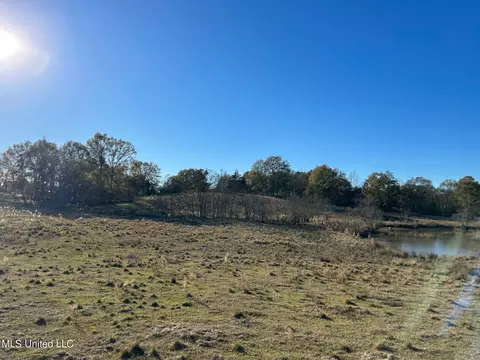 County Road 8, Stringer, MS 39481 photo 9