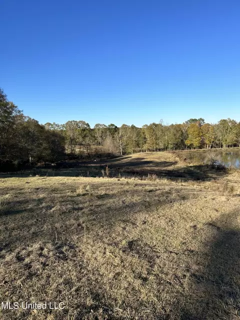 County Road 8, Stringer, MS 39481 photo 2