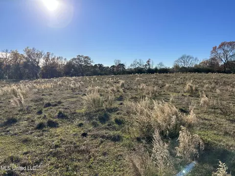 County Road 8, Stringer, MS 39481 photo 5