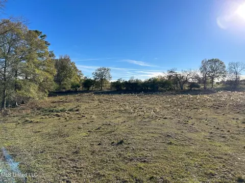 County Road 8, Stringer, MS 39481 photo 8