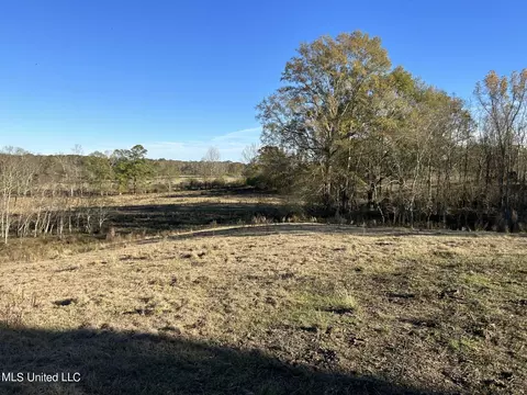 County Road 8, Stringer, MS 39481 photo 3