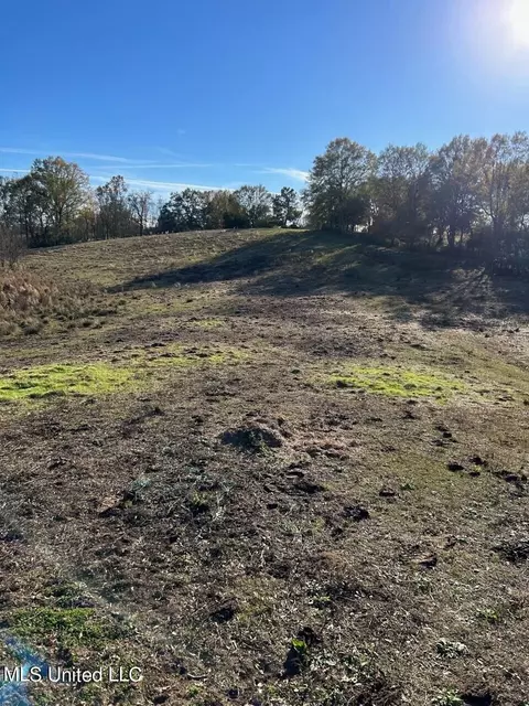 County Road 8, Stringer, MS 39481 photo 11