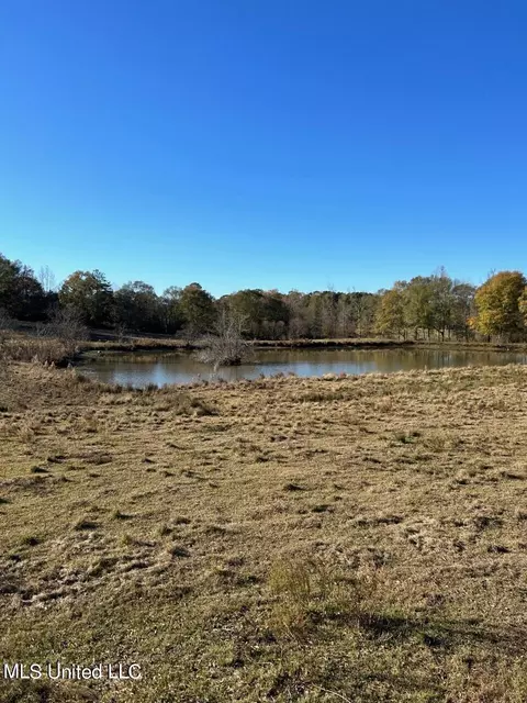County Road 8, Stringer, MS 39481 photo 10