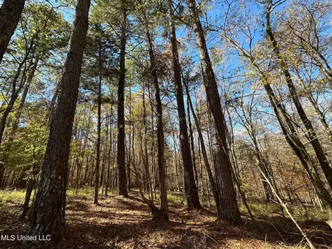 5 Wesley Ln, Brookhaven, MS 39603 photo 2