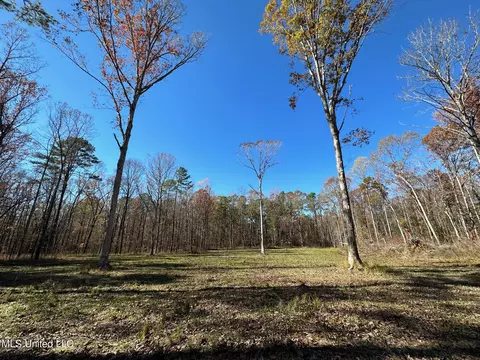 5 Wesley Ln, Brookhaven, MS 39603 photo 6