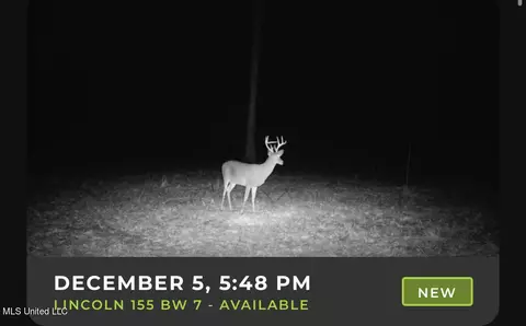 5 Wesley Ln, Brookhaven, MS 39603 photo 14