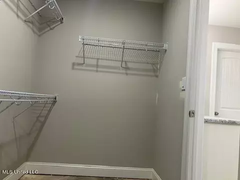 Other - 1785 Baisley Dr, Nesbit, MS 38651 photo 6 of 12