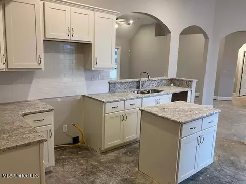 Other - 1785 Baisley Dr, Nesbit, MS 38651 photo 3 of 12