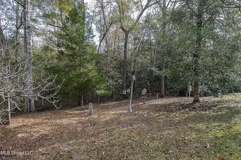 56 Timber Ridge Rd, Wiggins, MS 39577 photo 21